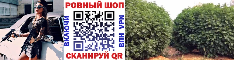 Где купить наркоту Фурманов Конопля  Альфа ПВП  Гашиш  Амфетамин  Кокаин 