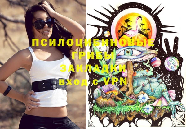 спиды Абдулино