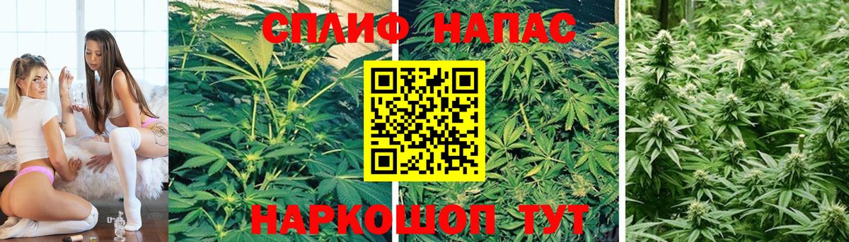 Фурманов  Каннабис Bruce Banner  Конопля индика  Конопля индика  МАРИХУАНА THC 21%  Вход с VPN 